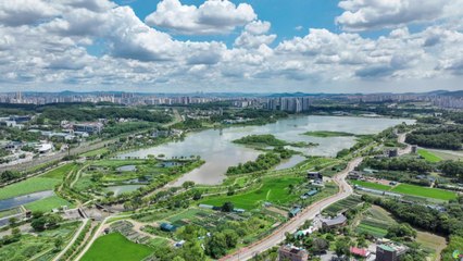 [경기] 경기도, 의왕 왕송호수 수질 개선에 320억 원 투입 / YTN