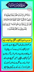 Surah_Al-Tawba_Urdu_Translation_Ayat_12_#shorts_#short_#quran_#islam_#status_#snack_#tiktok_#viral(360p)