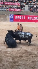 King Qiankou vs. King Black Wolf