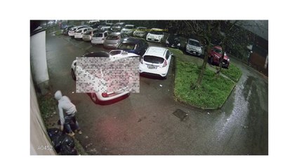 Romano, abbandona tre sacchi di rifiuti in un'aiuola: il filmato del ragazzo denunciato