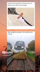 c'est tellement vrai 🤣