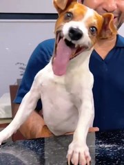 Expectation vs. Reality: Life in 5 Minutes🤣😂