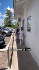 Égua e cachorrinha fazem a alegria de pacientes no Hospital Sapiranga