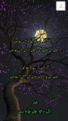 Best Urdu Poetry | Sad Urdu Shayari | Num Aneel ankh me ata he