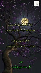 Best Urdu Poetry | Sad Urdu Shayari | Num Aneel ankh me ata he