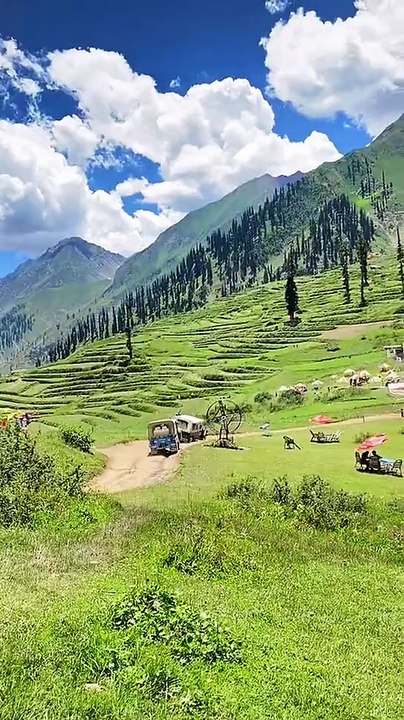 Nature beauty