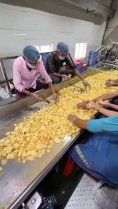 "Inside the Mega Factory: How Potato Chips Are Made from Scratch"
