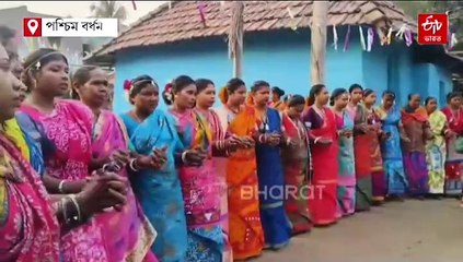 ধামসা-মাদলে শেষ সহরায় উৎসব, মাংসের পিঠে পরবে আদিবাসীরা