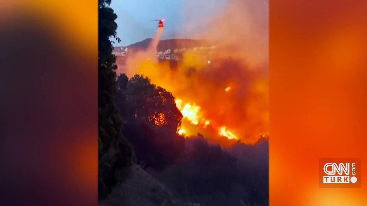 Bedia Ener kimdir, kaç yaşında, neden öldü? Bedia Ener hastalığı neydi? Yaprak Dökümü'nün unutulmaz ismiydi...