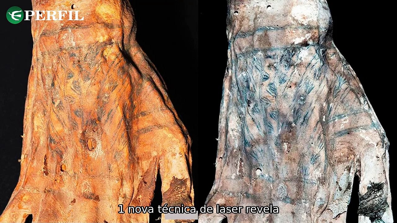 "Múmias peruanas revelam padrões de tatuagens, bebê caranguejo viral e possível venda do TikTok para Elon Musk nos EUA!"