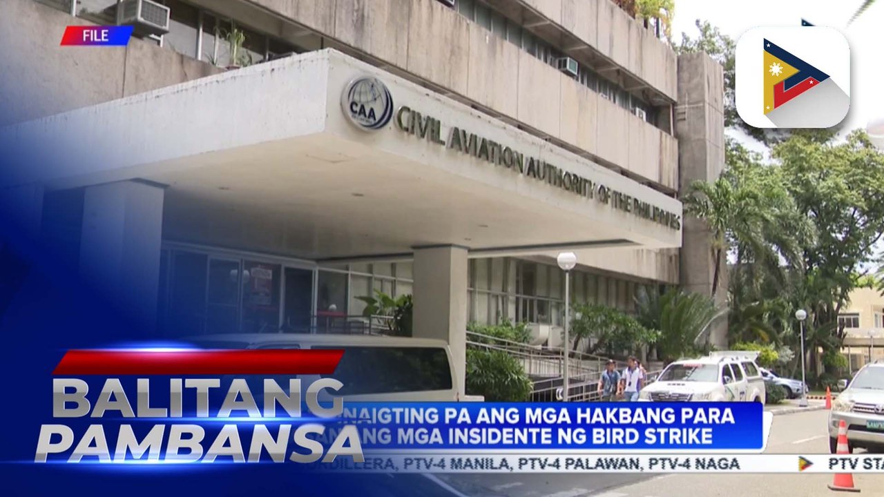 CAAP, mas pinaigting pa ang mga hakbang para maiwasan ang mga insidente ng bird strike