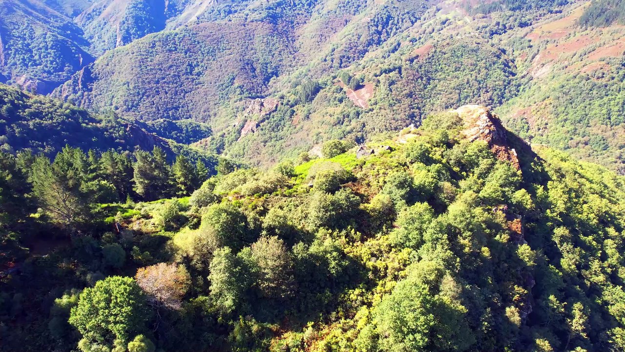 😲Iniziamo L' Anno Nuovo Con Il "Principado de Asturias"🌳 ( Prima parte) 1° Ep.