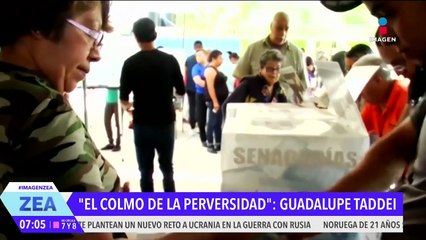 Guadalupe Taddei califica de "perversa" la amenaza de jueces contra funcionarios de casilla