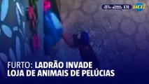 Ladrão quebra vitrine e rouba bichos de pelúcia de mais de R$ 2 mil