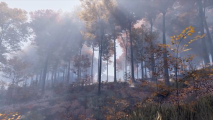 Prologue Go Wayback! Official First Look Video