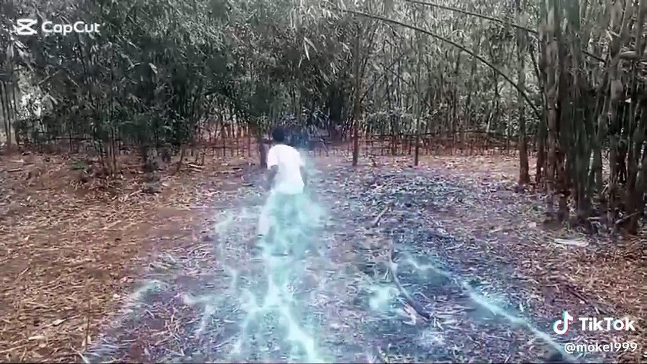 How to be The Flash With Cupcut