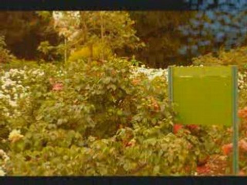 VOYAGE DE PATI EN ISRAEL