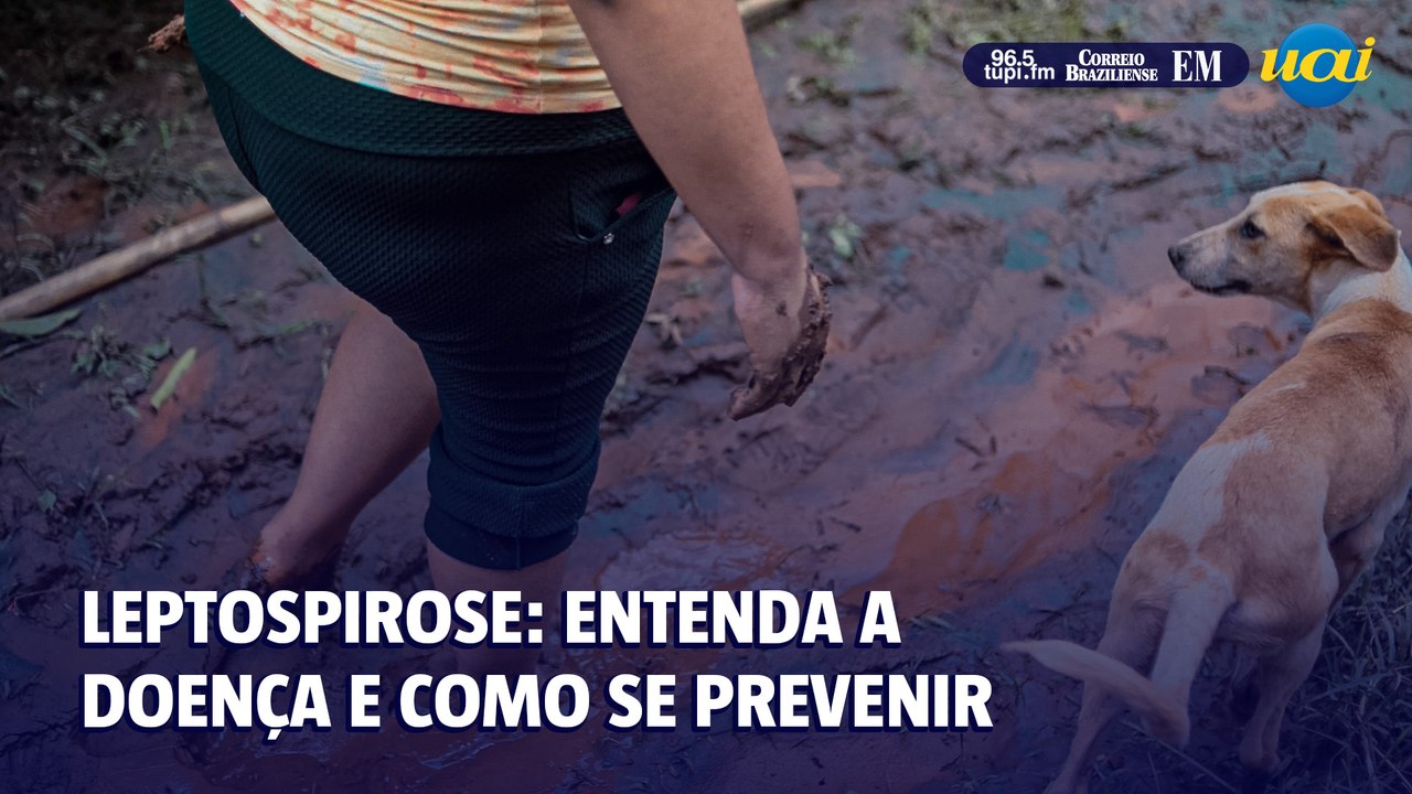 Chuva aumenta risco de leptospirose entenda a doença