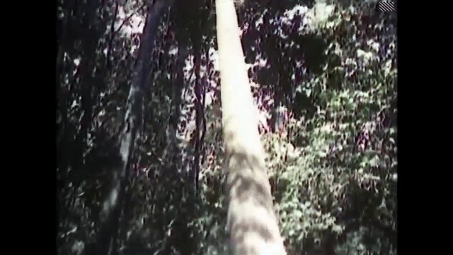 Benny Hill - Benny's Snuff Box 'Closing Chase' (1976)