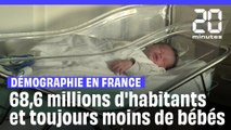 Le nombre de bébés en France au plus bas depuis la fin de la Seconde Guerre mondiale