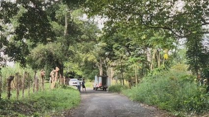 Organizaciones solicitan medidas más severas tras hallazgo del cuerpo de mujer en avanzado estado de descomposición en Chiriquí