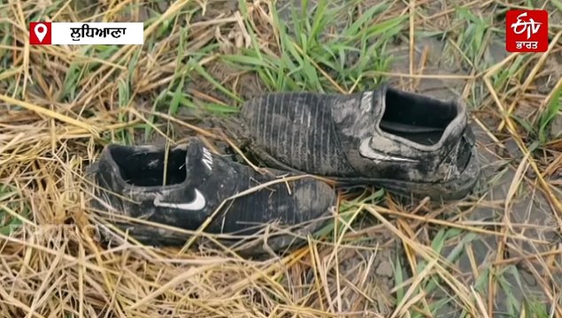 ਖੌਫ 'ਚ ਰਹਿੰਦੇ ਨੇ ਇਸ ਪਿੰਡ ਦੇ ਲੋਕ, ਅਵਾਰਾ ਕੁੱਤੇ ਬਣੇ ਆਦਮ ਖੋਰ, ਇੱਕ ਹਫਤੇ 'ਚ ਦੋ ਬੱਚਿਆਂ ਨੂੰ ਉਤਾਰਿਆ ਮੌਤ ਦੇ ਘਾਟ, ਪਿੰਡ ਦੇ ਲੋਕ ਬੇਬਸ