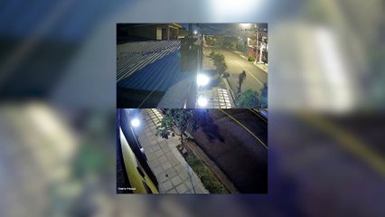 Así robaron perro en Heredia y dueños suplican por ayuda para encontrarlo
