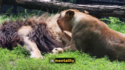 The Lion Mentality: Unleash Your Inner Strength