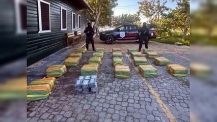 17 acciones delictivas atribuidas a detenidos en Operación Panthera 7