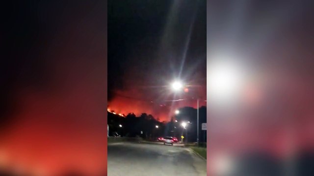 Incendio forestal en Tandil: los bomberos lograron contener las llamas