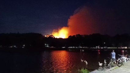 Incendio forestal en Tandil