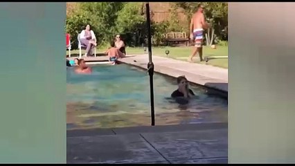 Best Funny Videos 🤣 - People Being Idiots _ 🤣 Try Not To Laugh -  #14