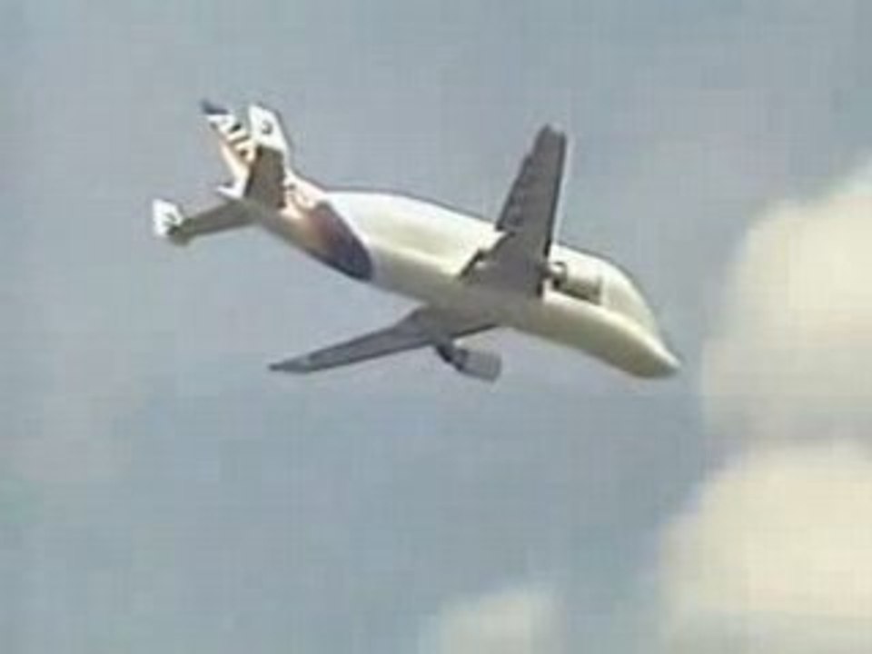 Airplane OR Animal ?