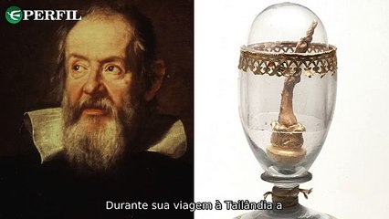 "Relíquias de Galileu, polêmica com jornal francês e influenciadora mordida por macaco na Tailândia"