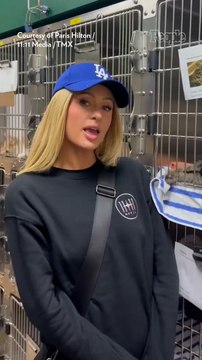 Paris Hilton Volunteers at Shelter for Animals Impacted by L.A. Fires and Boosts Search for Cat's Missing Owner