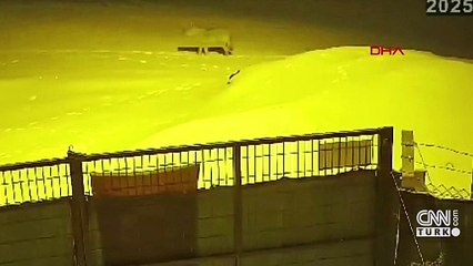 Kurtlar şehir merkezine indi