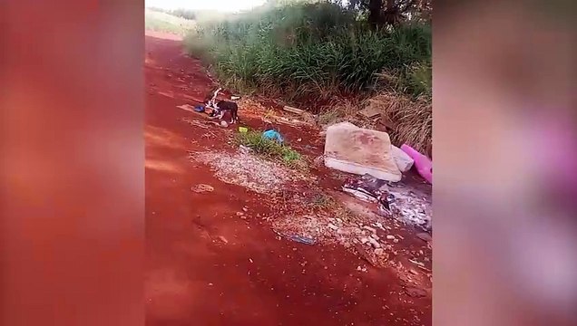Internauta pede ajuda para resgatar cachorros abandonados nas proximidades da PR-180