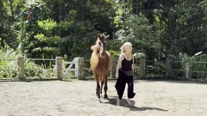 Conozca a Terry, la encantadora de caballos, y su terapia de sanación