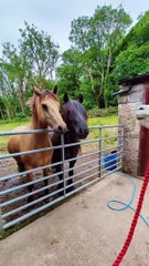 Expectation vs. Reality: Life in 5 Minutes🤣😂