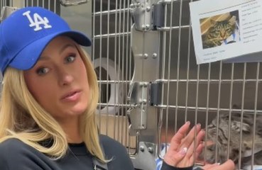 Paris Hilton desea acoger en su casa a un perro abandonado durante los incendios de Los Ángeles