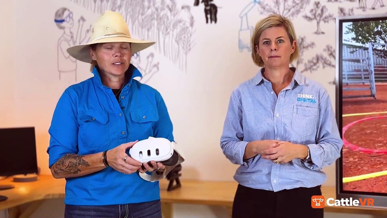 CattleVR - virtual reality cattle handling training