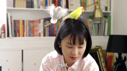 Exhibition of 2024 ISVC Outstanding Works 《Warm Wind-As Free As the Wind》