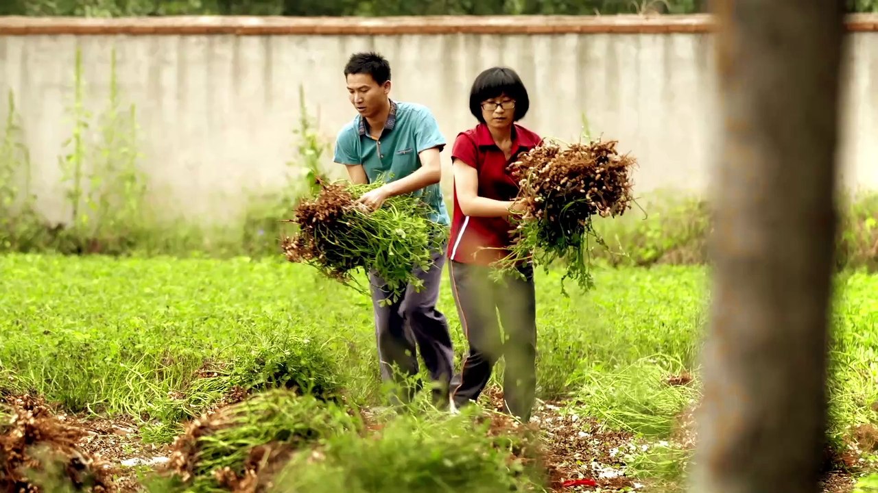 Exhibition of 2024 ISVC Outstanding Works 《Grassroots Opera Troupe Produces A Major Film》
