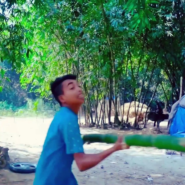 Funny video 5