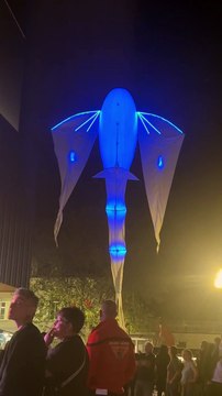 Cosmocité LA JOURNÉE D'INAUGURATION Music Show #music #creative #show #creativity #animation (5)