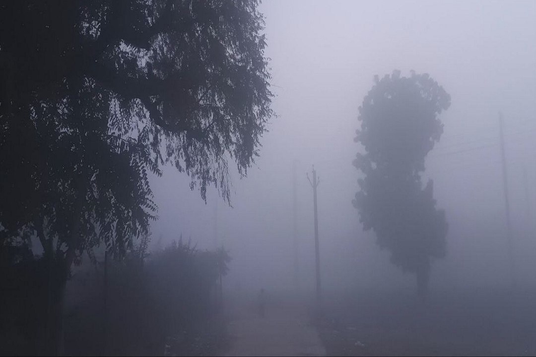 Rajasthan Weather :  गुलाबी नगर में आज सवेरे धू...