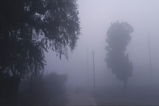 Rajasthan Weather : गुलाबी नगर में आज सवेरे धूप ​खिलने से सर्दी के तेवर नरम