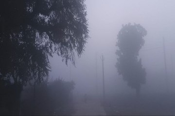 Rajasthan Weather :  गुलाबी नगर में आज सवेरे धूप ​खिलने से सर्दी के तेवर नरम