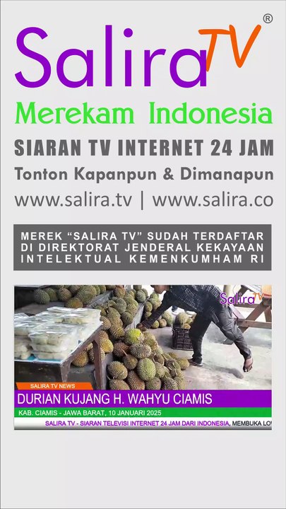 Durian Kujang H. Wahyu Ciamis: Si Raja Durian Rasa Premium, Harga Bersahabat!