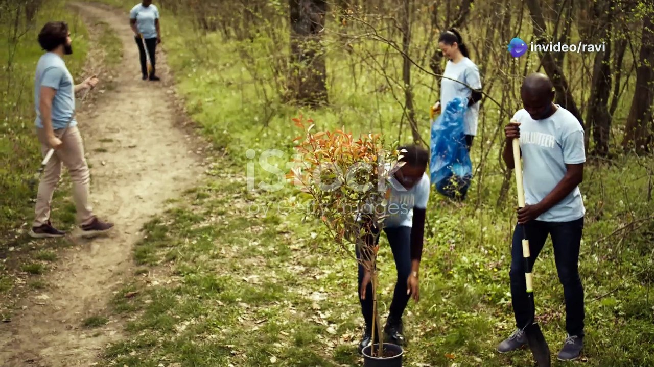 Rise Up: The Anthem of Dreams